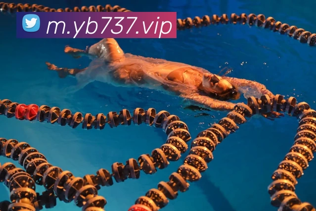 yb亚博发展历程